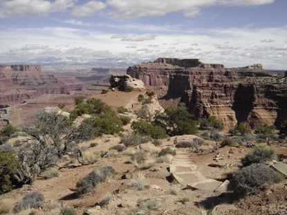 Canyonlands overlook