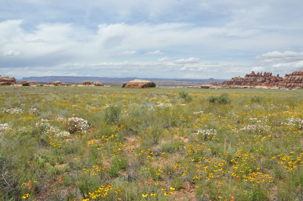 canyonlands