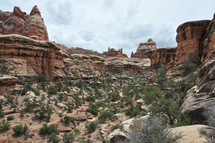 Elephant Canyon