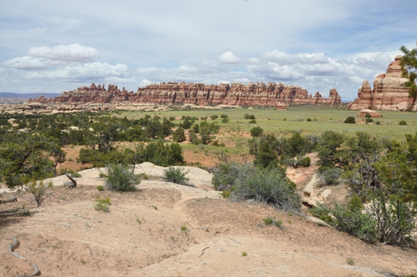 needles district