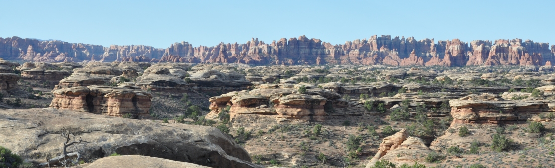 needles district