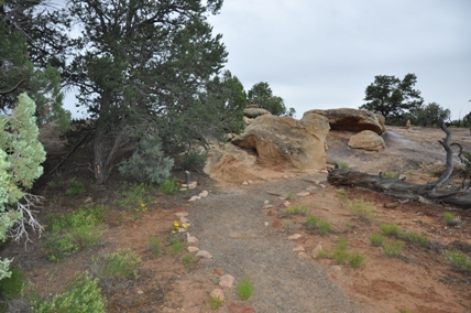 canyonlands