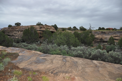 Roadside Ruin