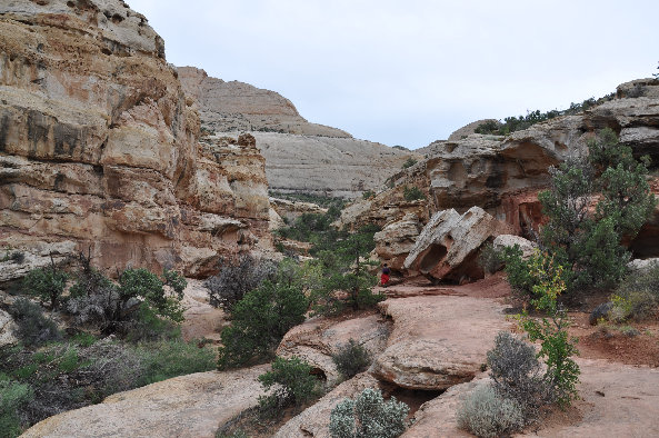 Hickman Bridge trail