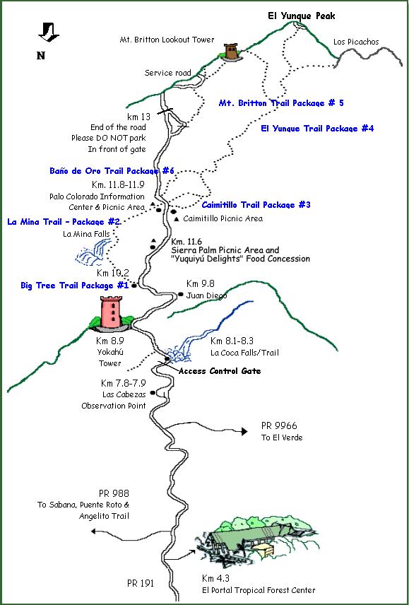 el yunque national forest map