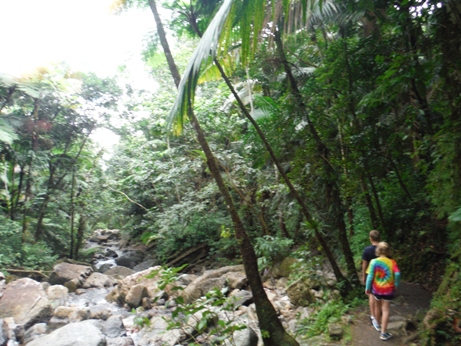 hiking puerto rico