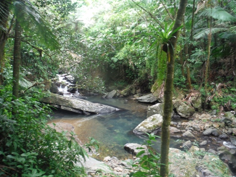 La Mina Creek