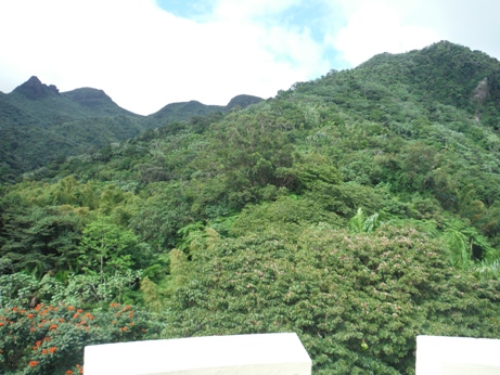 Yokahu Tower Views