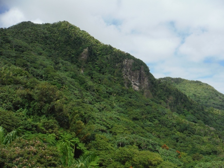 Yokahu Tower Views