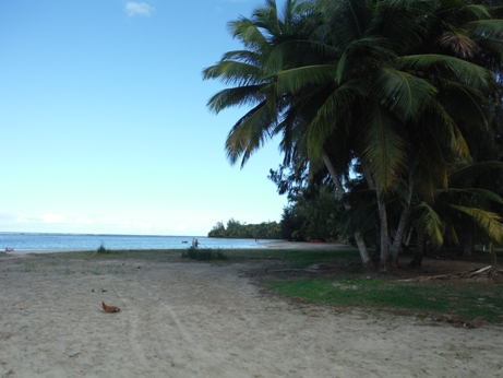 Luquillo