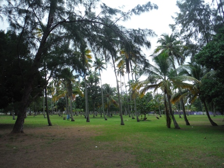 park