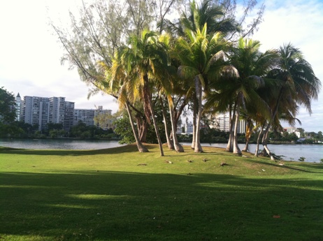 Laguna del Condado