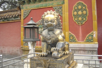 Male Chinese lion
