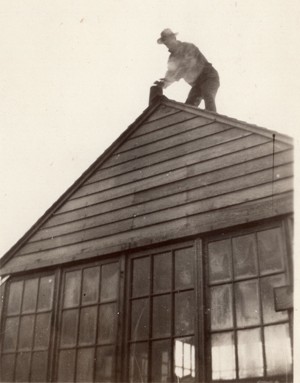 bearhead lookout