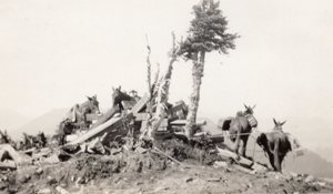 lookout bldg