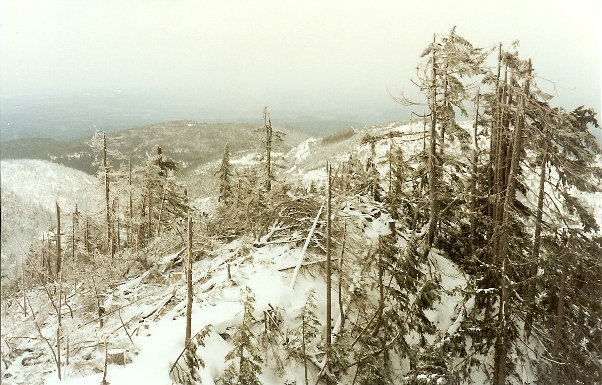 hiking Burnt Mountain 