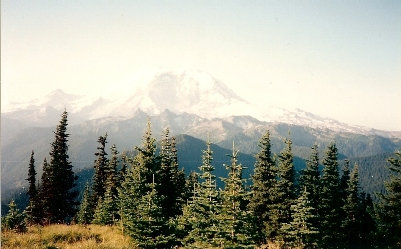 Mount Rainier 