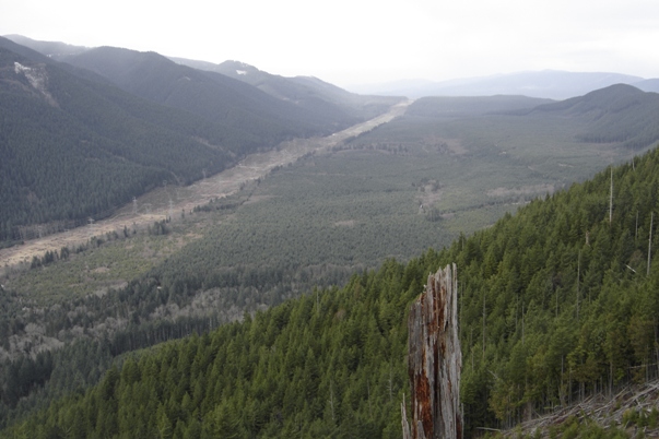 Cedar River Watershed 