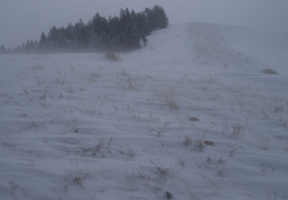 Blacktail Butte