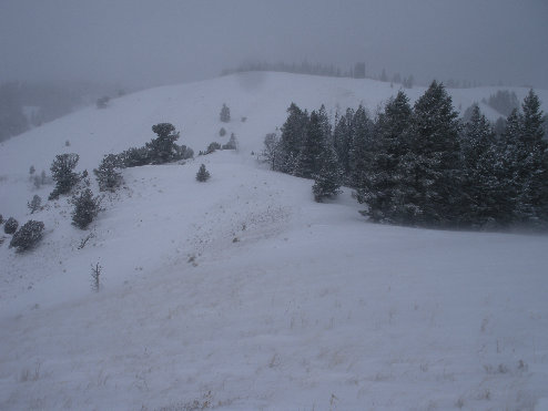 Blacktail butte 