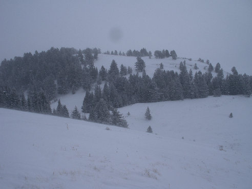 Blacktail butte east point