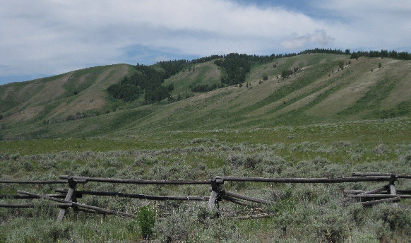 Summer at Blacktail Butte