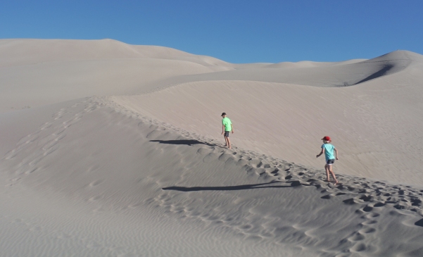 sand dunes