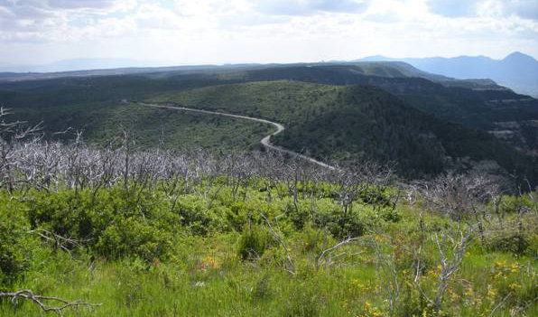 Mesa Verde view