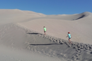 Sand Dunes 