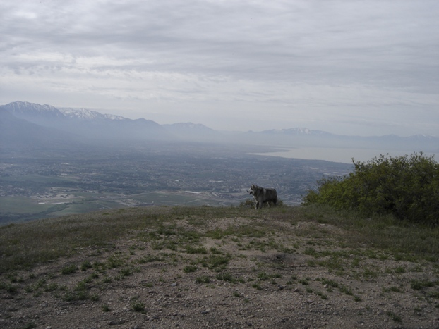 south into Utah County