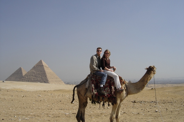 camel and pyramids