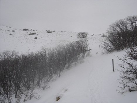 Ensign Peak Trail