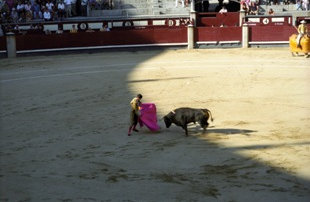 Bull Fight in Madrid Spain