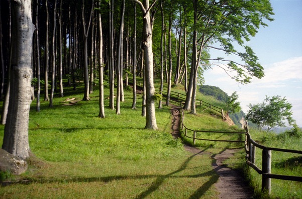 Jasmund National Park trails