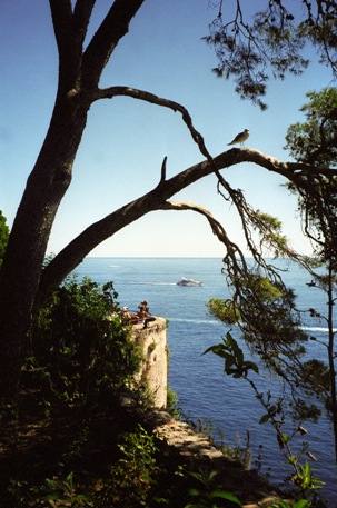 Monaco views