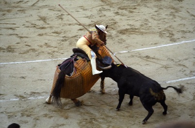 Bull fight in Madrid