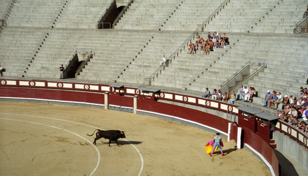 bull fight madrid