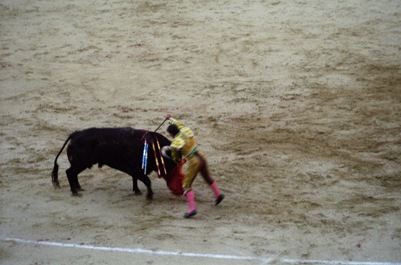 Bull fight in Madrid