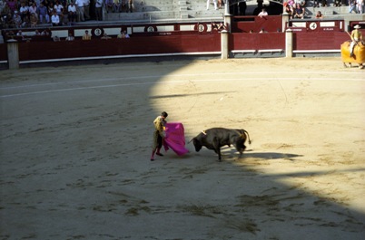 Bull fight in Madrid