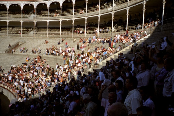 Inside the bullring