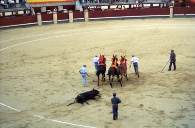 Bull fight in Madrid