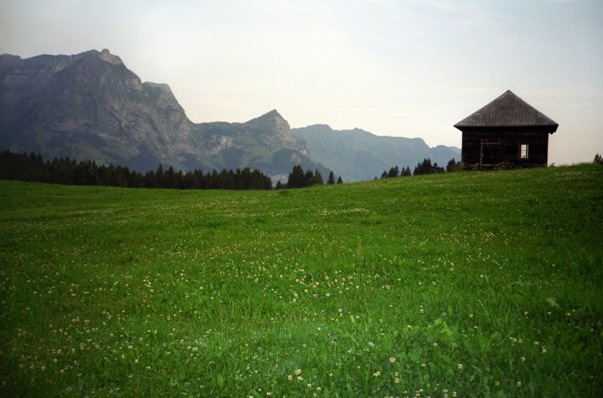 Meadows on Mount Titlis