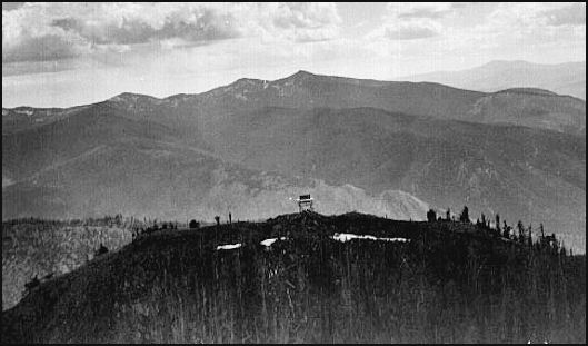 Hall Mountain Lookout 