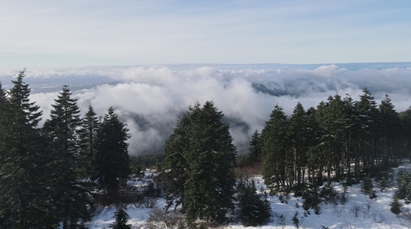 larch mountain