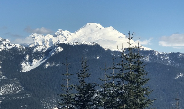 Mt. Baker