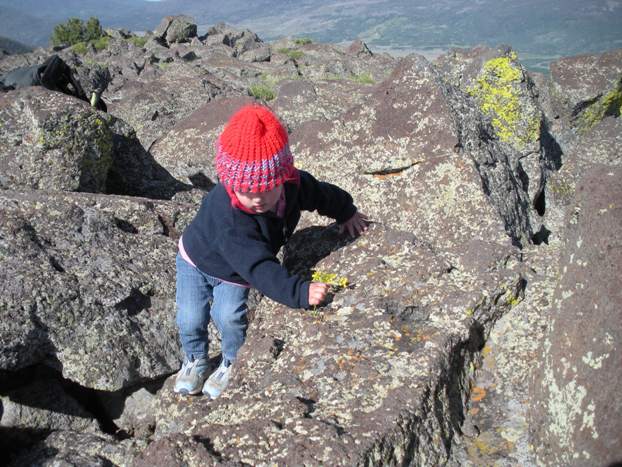 boulder field