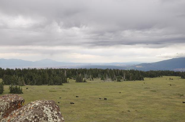 Views from Thousand Lakes Mountain