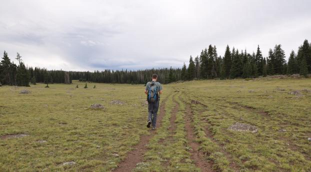 Hiking cow trails