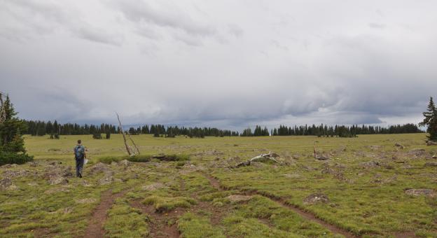 hiking trail