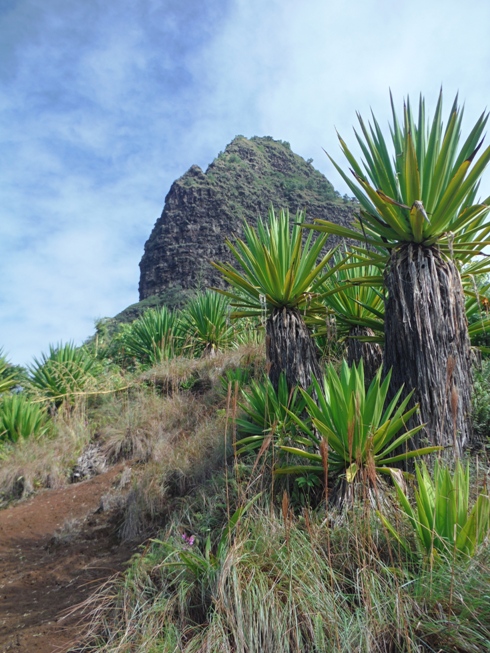 hiking hawaii